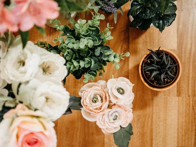 The Best Indoor Plants for Spring