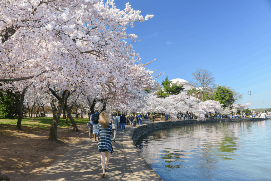 5 Reasons Young People Love Living in DC