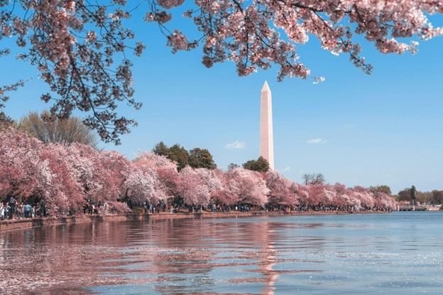 7 Exercise Hotspots in DC that Will Help You Keep Your New Year’s Resolutions
