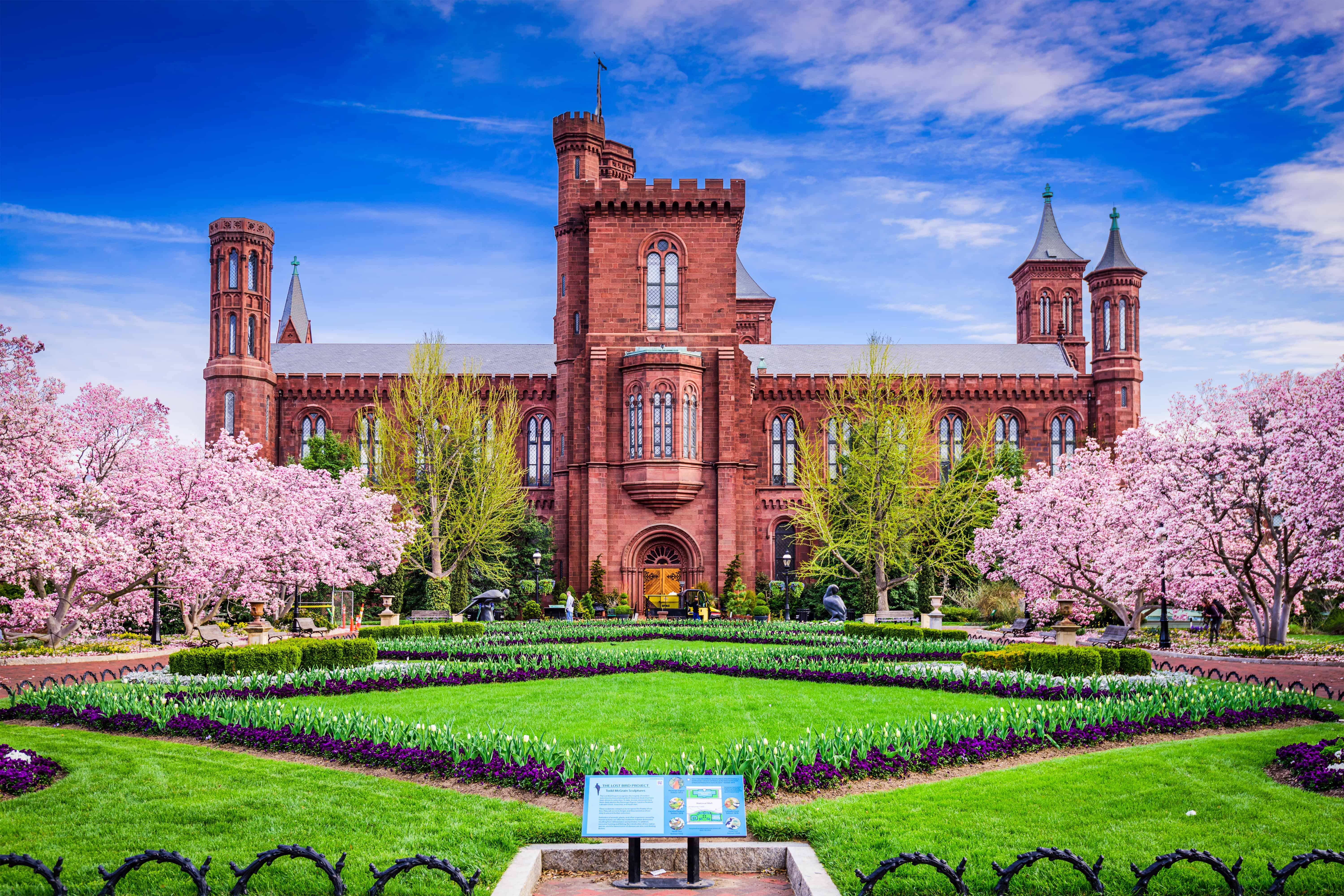 Here Are the Top Museums to Visit in Washington, DC
