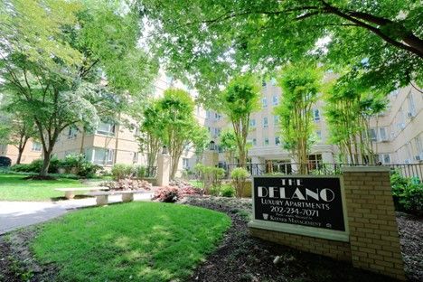 The Delano Spotlight