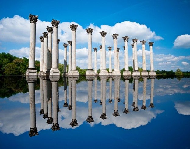 Gardens That Are Open in Washington DC in 2021