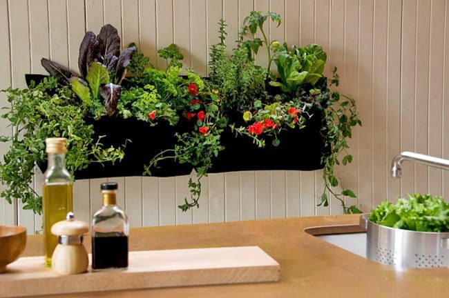 DIY Gardens for Your Apartment