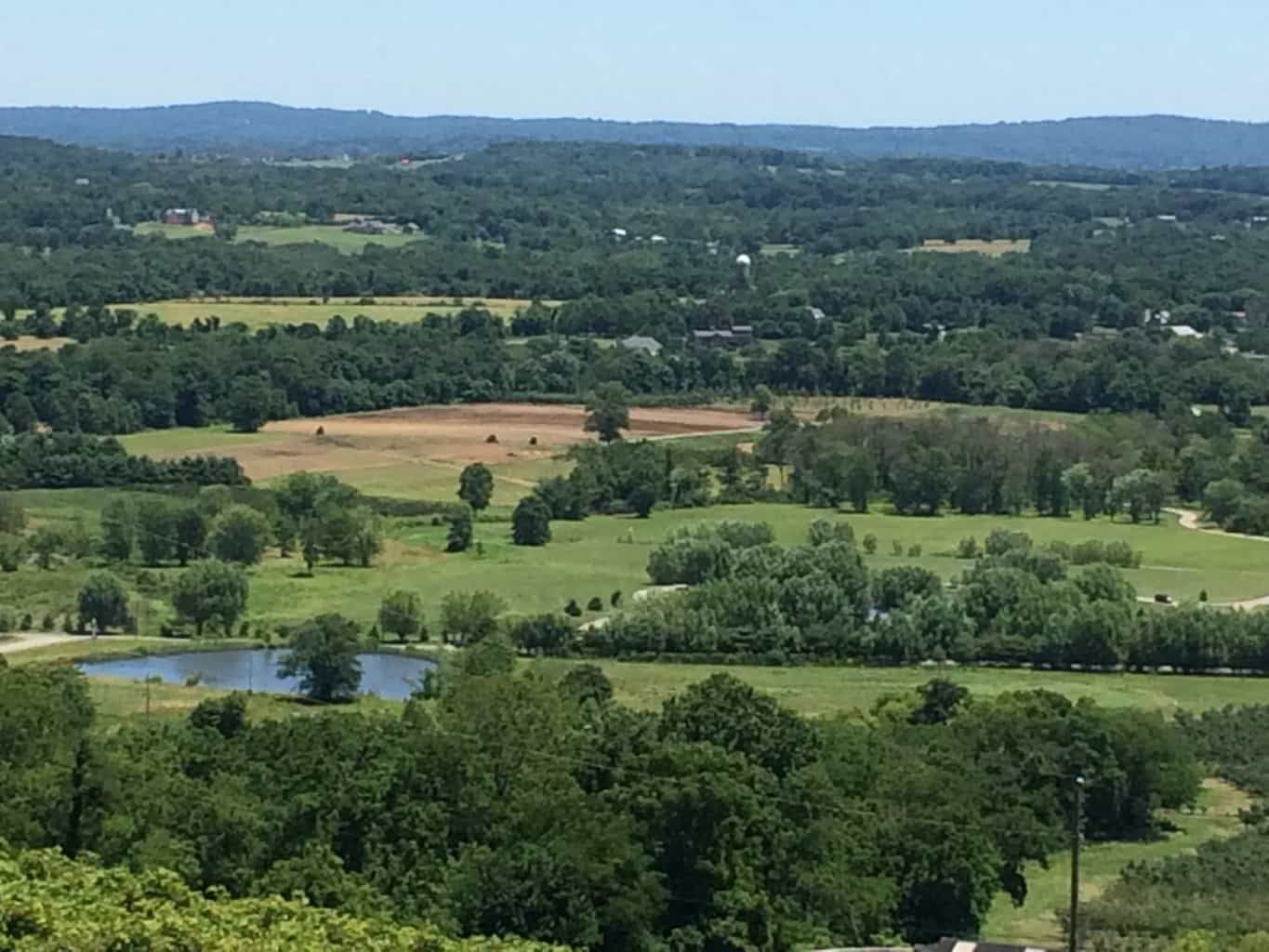 Featured Day Trip from DC: Bluemont Vineyard