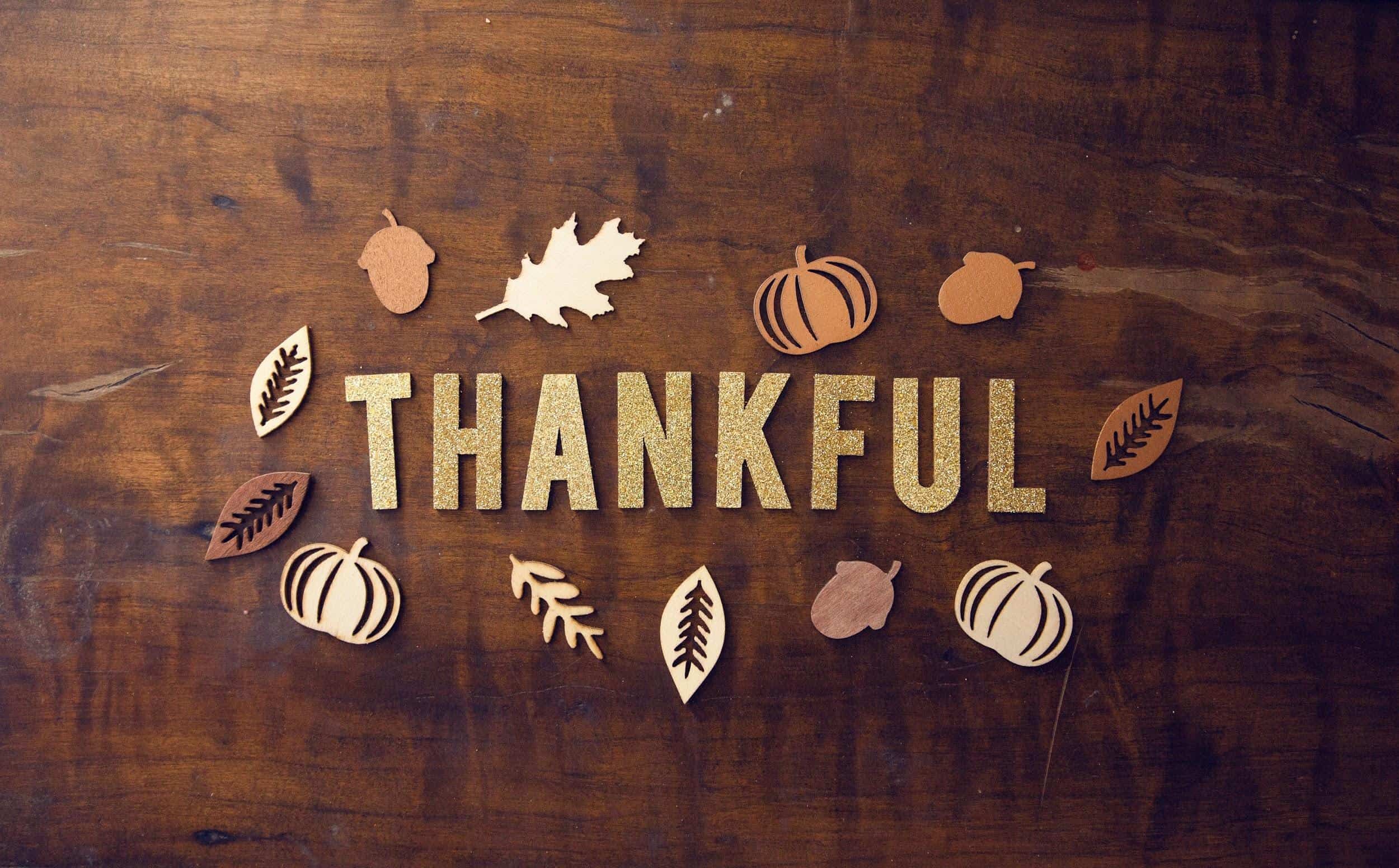 Ready for Fall? Fun Tips to Transition Your Space from Summer to Autumn