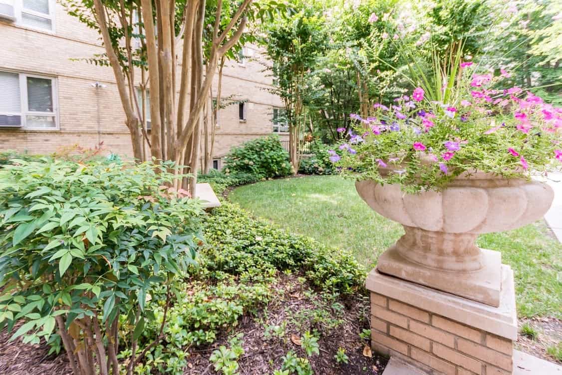 The Delano Apartments in Woodley Park Photo Gallery Keener Management