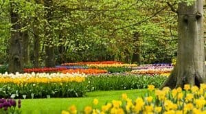 flower-garden-in-park