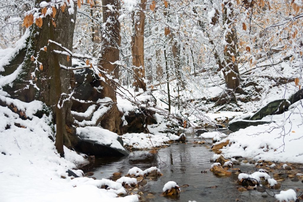 Rock Creek Park