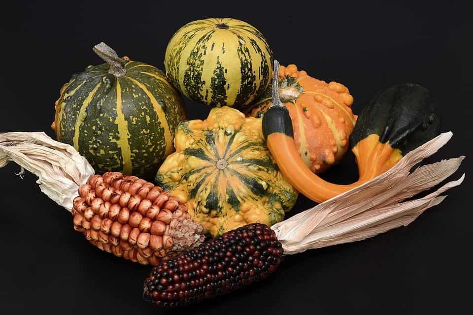 Pumpkin and Corn Fall Decorations
