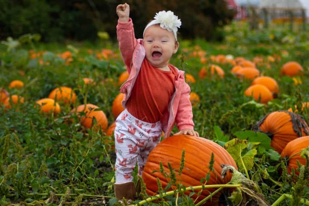 Baby at a Pumpkin Patch in DC