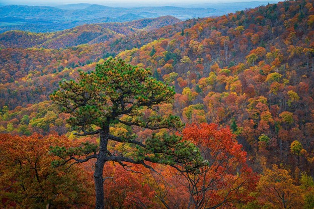 Perfect Fall Foliage Views