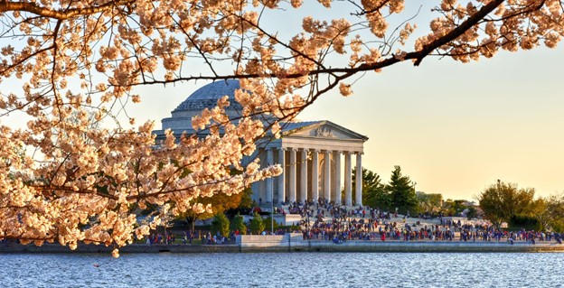 National Cherry Blossom Festival 2022 returns to in-person events