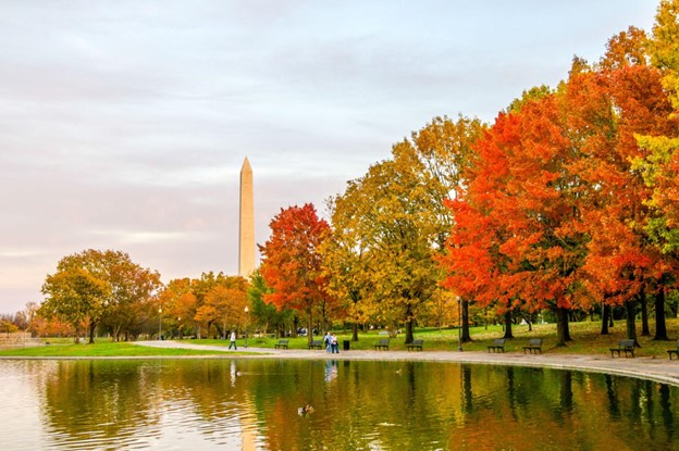 Things to Do for November 2022 in Washington, DC