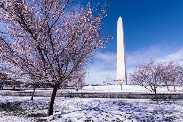 Washington DC in the Wintertime